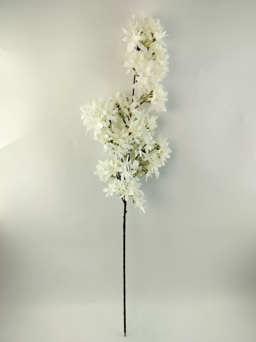 Orhidee Alba Cymbidium/W10 WHITE 67200-19