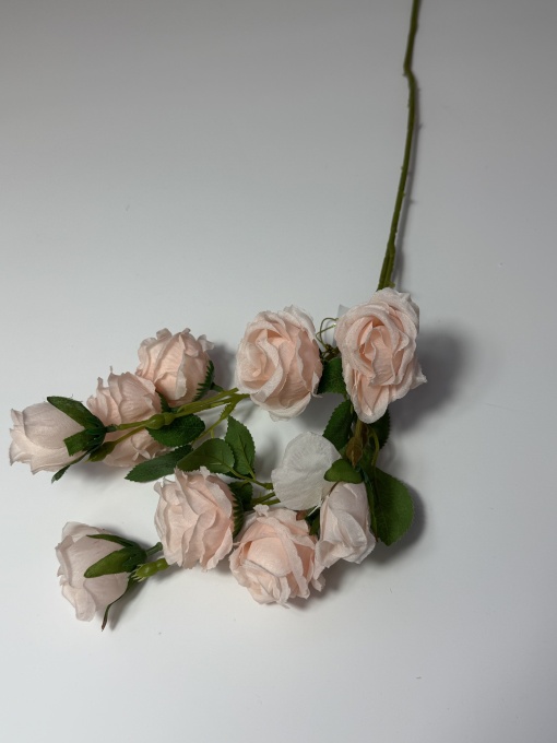 Trandafir pastel 3 culori-BSF-1 -SOMON