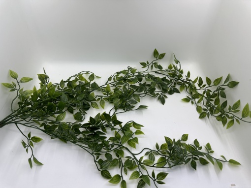 Verdeata curgatoare BBL-1 * 65cm