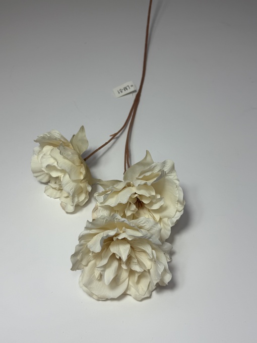 Anemone crem LM-51 (3 capete*12cm)