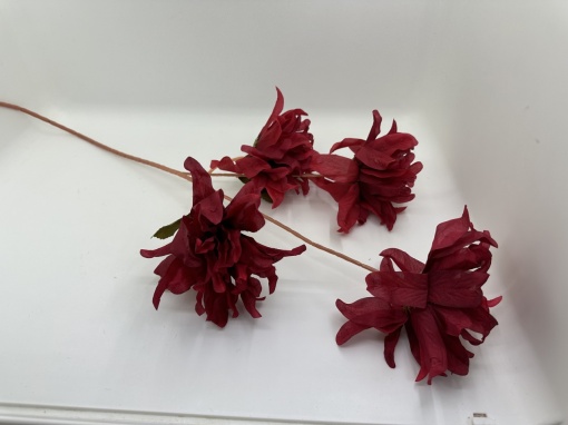Flori rosii ciufulite LM188