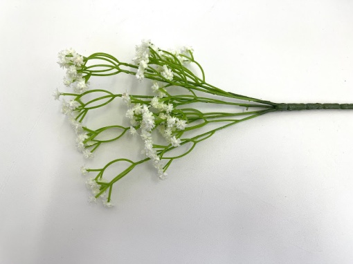 Gypsophila cod OF - ALBA