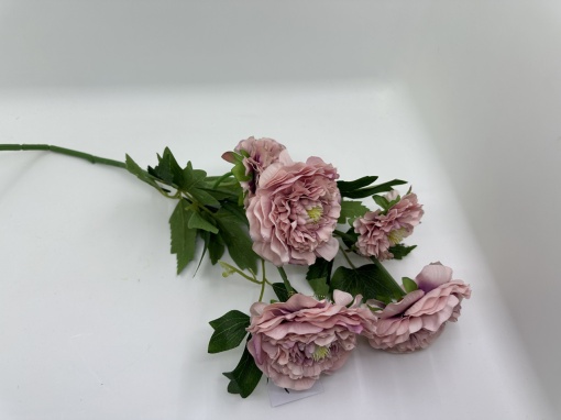 Trandafir batut fir lung ciocolatiu*10cm