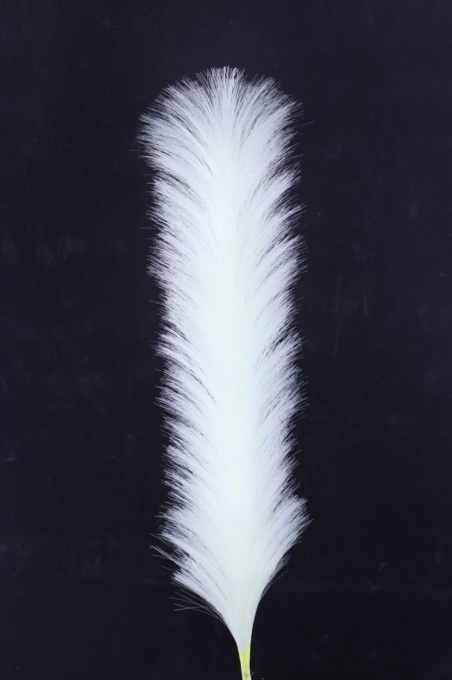 Pampas alb 68002