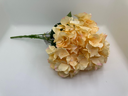 Buchet hortensie somon *T15 * 5 CAPETE