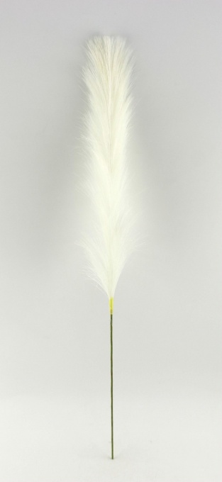 Pampas crem 68002