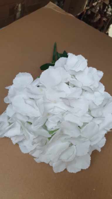 Buchet hortensie *T15