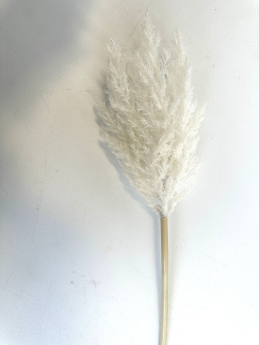 Crengute pampas artificial A2F-5 * 50cm - Alb