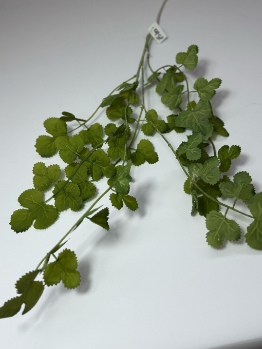 Frunze decorative LM145 - Verde
