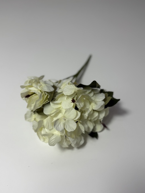 Mini hortensie n113 - Crem