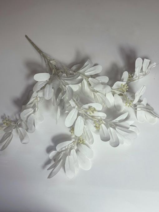 Ruscus alb cu bobite X18