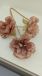 Anemone roz