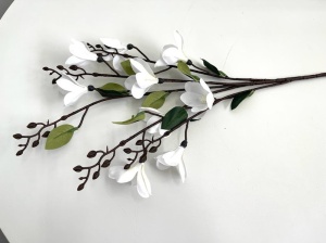 Crengi cu magnolie - Img 2