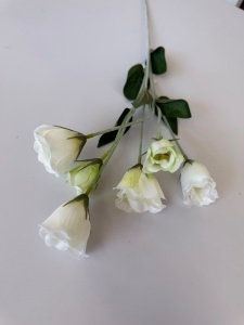 Iris artificial alb