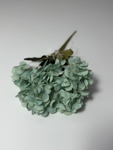 Mini hortensie - bleu-turcoaz