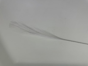 Pampas alb fir - mic