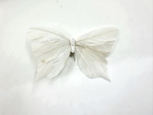 Fluture pene naturale - alb