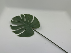 Frunza Monstera