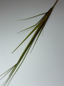 Frunze artificiale verzi pampas ghiveci