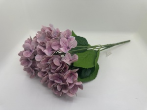 Hortensie Silicon Mov