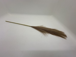 Pampas bej fir - mic