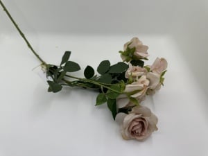 Trandafir pastel caramiziu