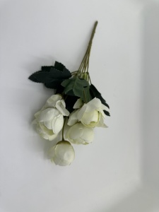 Buchet cu boboci stransi - crem