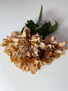 Buchet dalie Coffee