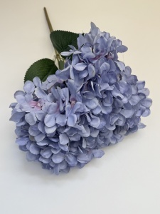 Buchet hortensie albastra-mov