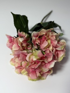 Buchet hortensie - somon buza roz