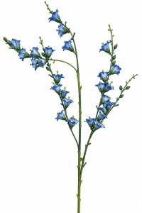 Lacramioare albastre LM-259