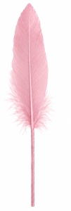Pene roz set 100 buc