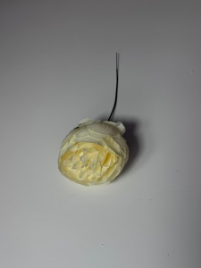Capete bujori cu bilute - crem