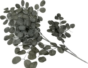 Crengute - gri