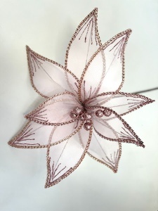 Floare craciunita stea - Img 2