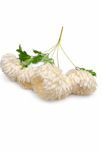 Flori artificiale - Buchet crizanteme crem cu frunze