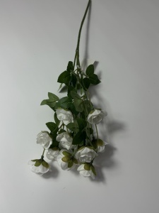 Minirose albe