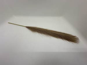 Pampas bej fir - mare