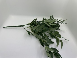 Ruscus mic buchet - verde inchis