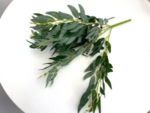 Ruscus - Verde