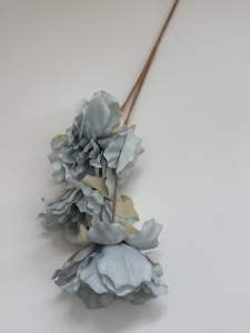 Anemone bleu