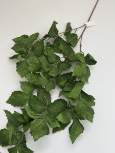 Crenguta verde