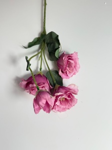 Lisianthus - Ciclam