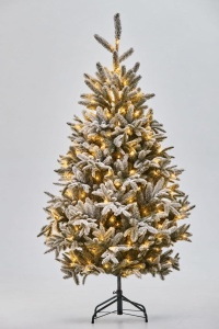 Brad Royal Snow 2.40m