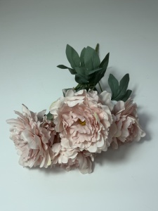 Buchet cu 7 bujori - 15cm - Roz-ciocolatiu