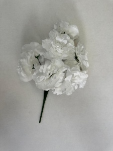 Buchet cu bujori albi