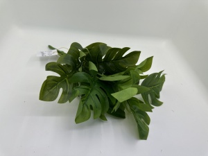 Buchet frunze Monstera