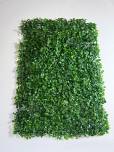 Covor Buxus 40/60 cm
