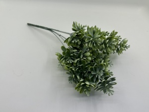 Ghetarica verde pudra