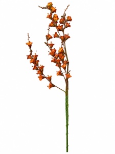 Lacramioare maro LM-259